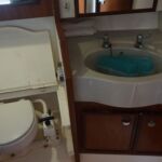 Fairline Sedan 36 - Heads with toilet, wash hand basin and shower